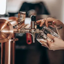 pivo